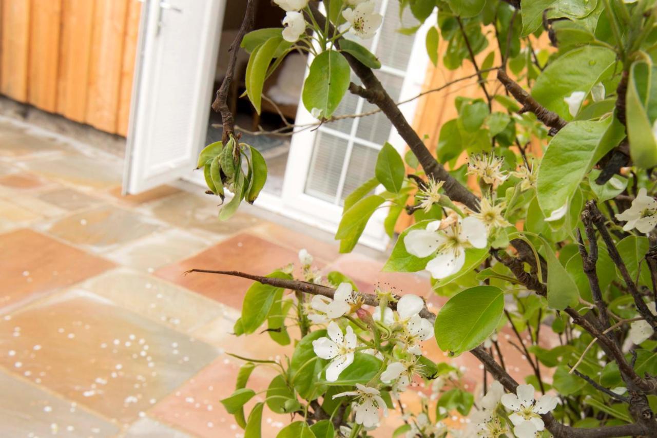 Pear Tree Cottage Cullen Exteriér fotografie